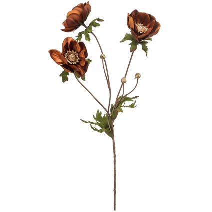 Anemone Marrone h75 cm