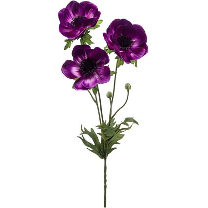 Anemone Viola h75 cm