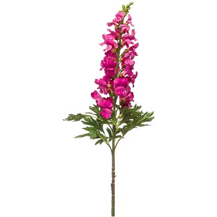 Antirrhinum viola chiaro h92 cm