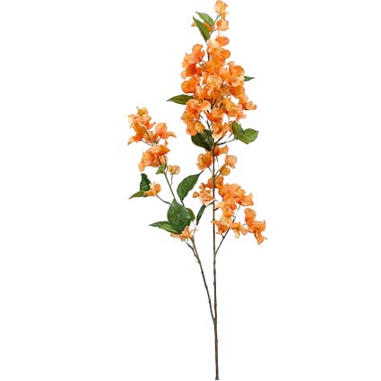 Bougainvillea arancio h117 cm