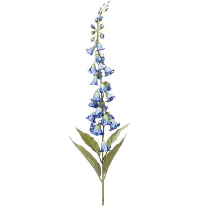 Campanula Bluette h96 cm