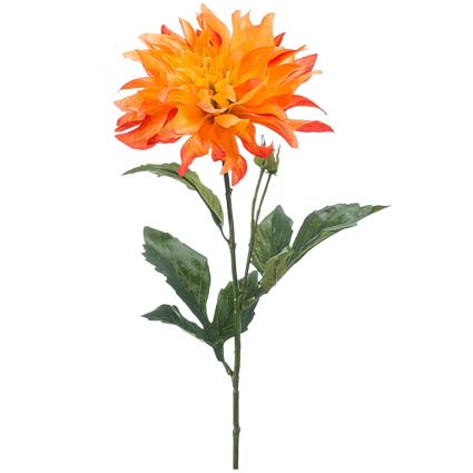 Dalia arancio h60 cm