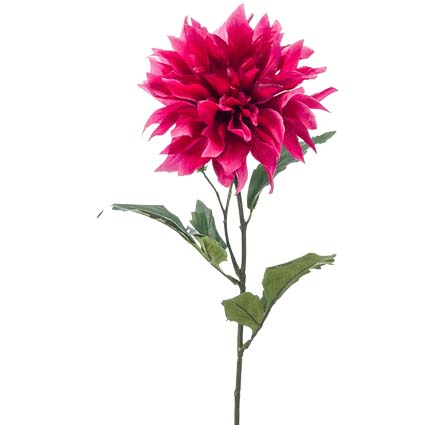 Dalia fucsia h60 cm
