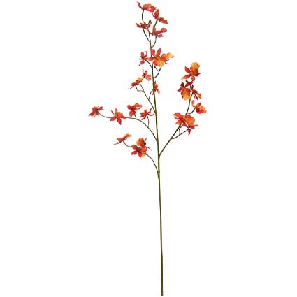 Dancing Lady Orchidea arancio h100 cm
