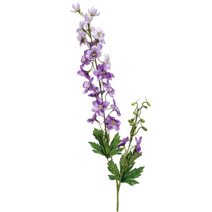 Delphinium Viola h130 cm