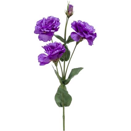Eustoma viola h68 cm
