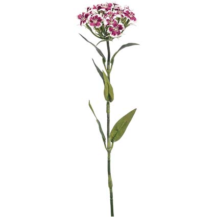 Garofano viola h53 cm